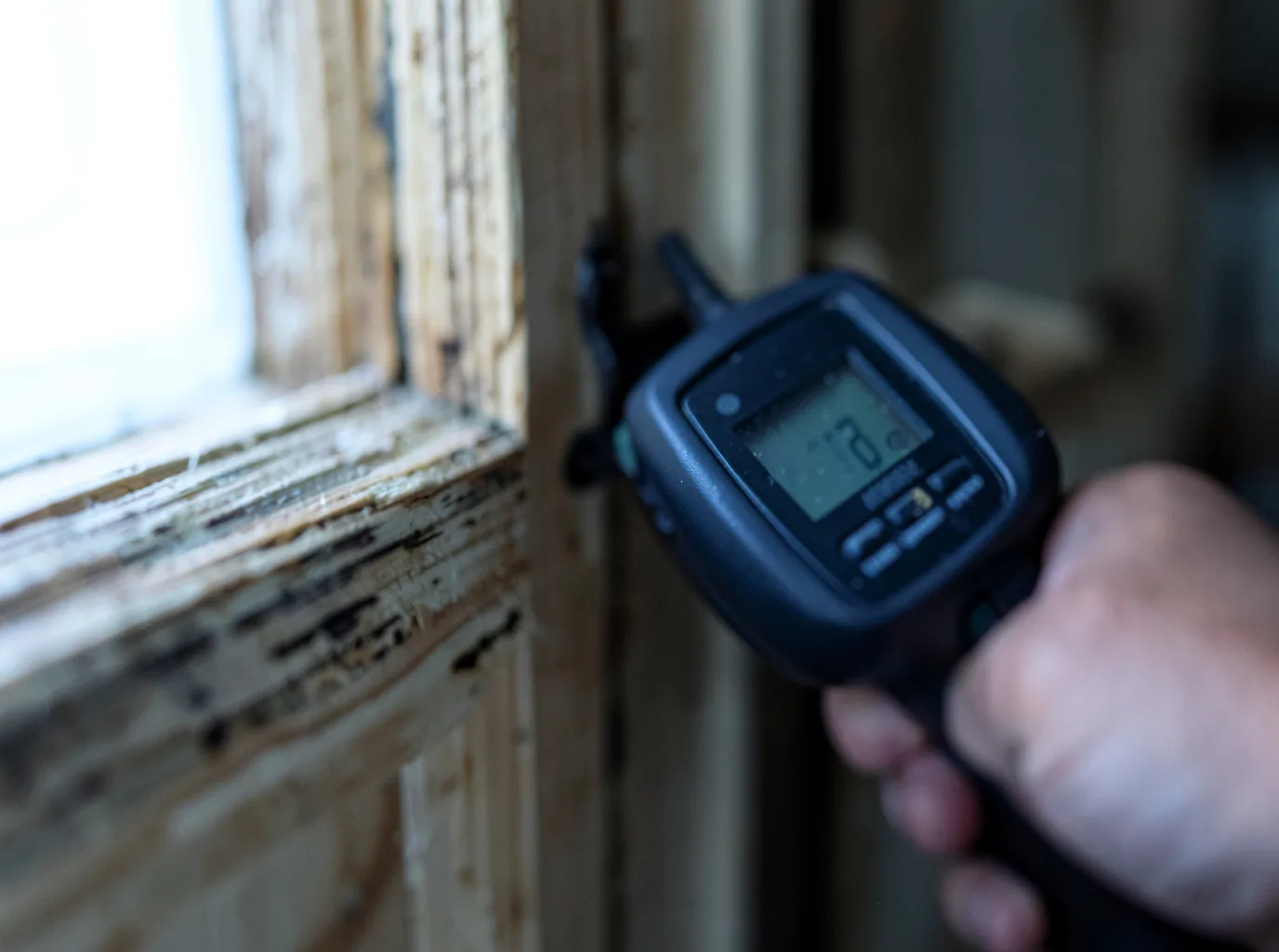 Moisture Inspection And Documentation in Fannin, TX
